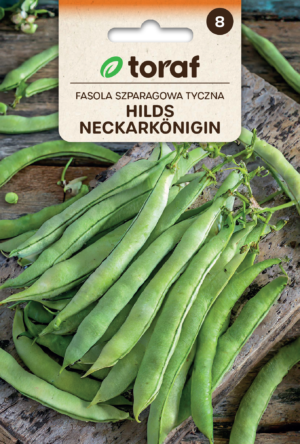 Spargeluba Hilds Neckarköningin