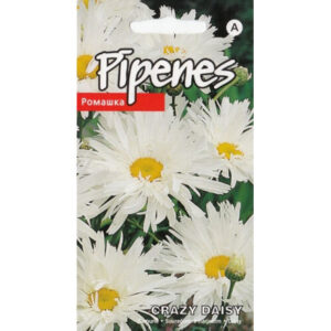 Suureõieline härjasilm Crazy Daisy