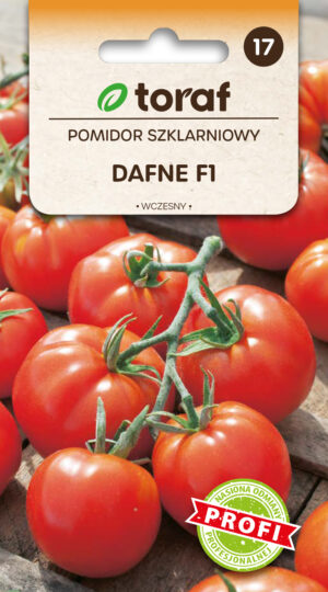 Tomat Dafne F1