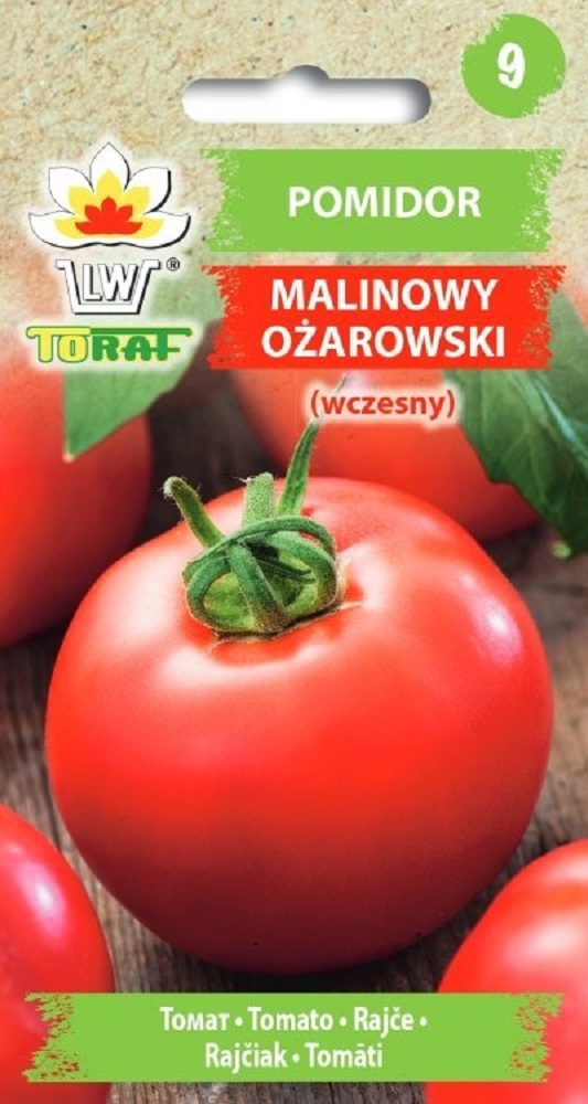 Tomat Malinowy Oźarowski