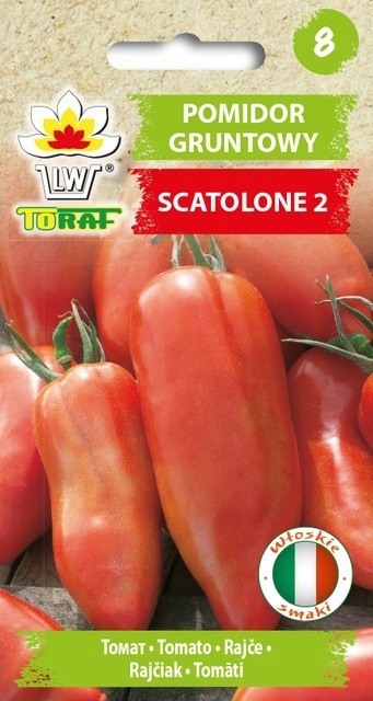 Tomat Scatolone 2