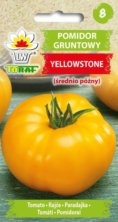 Tomat Yellowstone