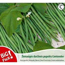 Põõsasuba Contender