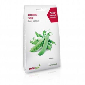 Hernes Avola F1*5