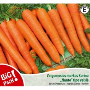 Porgand Korina Nantes tüüpi*5