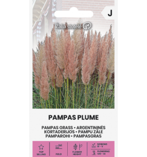 Argentiina pamparohi roosa