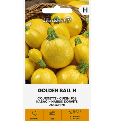 Suvikõrvits Golden Ball H