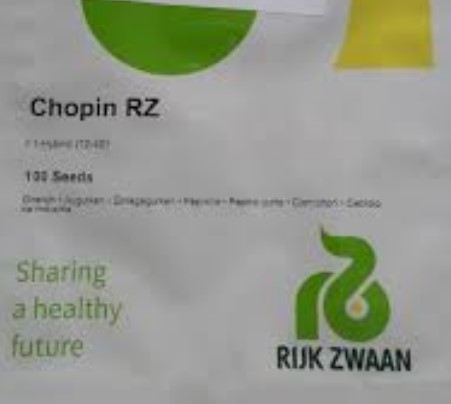 Kurk Chopin Rz 100s