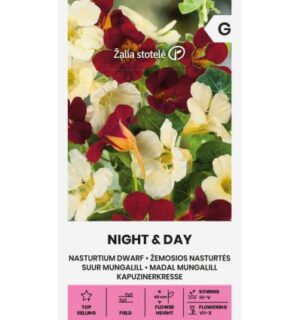Madal mungalill Night & Day