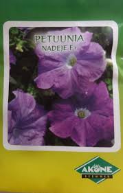 Petuunia Nadeje F1
