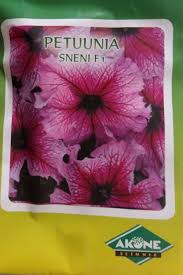 Petuunia Sneni F1