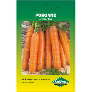 Porgand Amsterdam