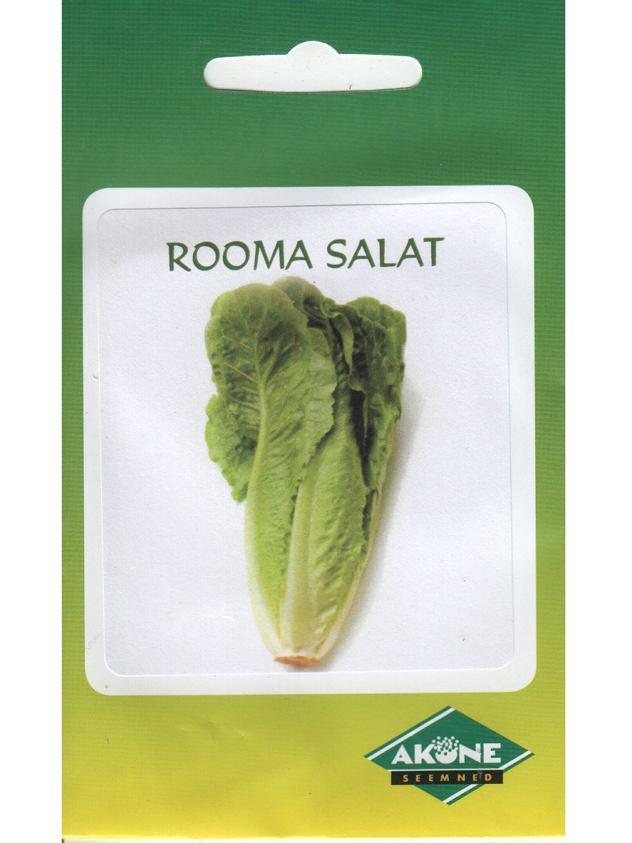 Rooma salat Little Gem