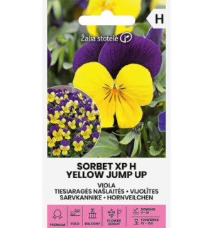 Sarvkannike Sorbet XP H Yellow Jump Up