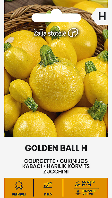 Suvikõrvits Golden Ball H