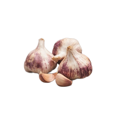 Suviküüslauk Garlic Morado