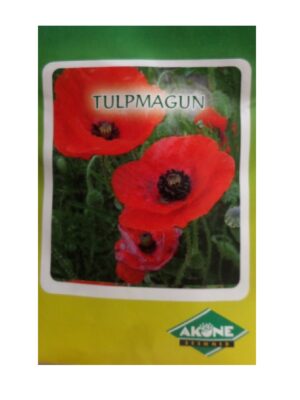 Tulpmagun