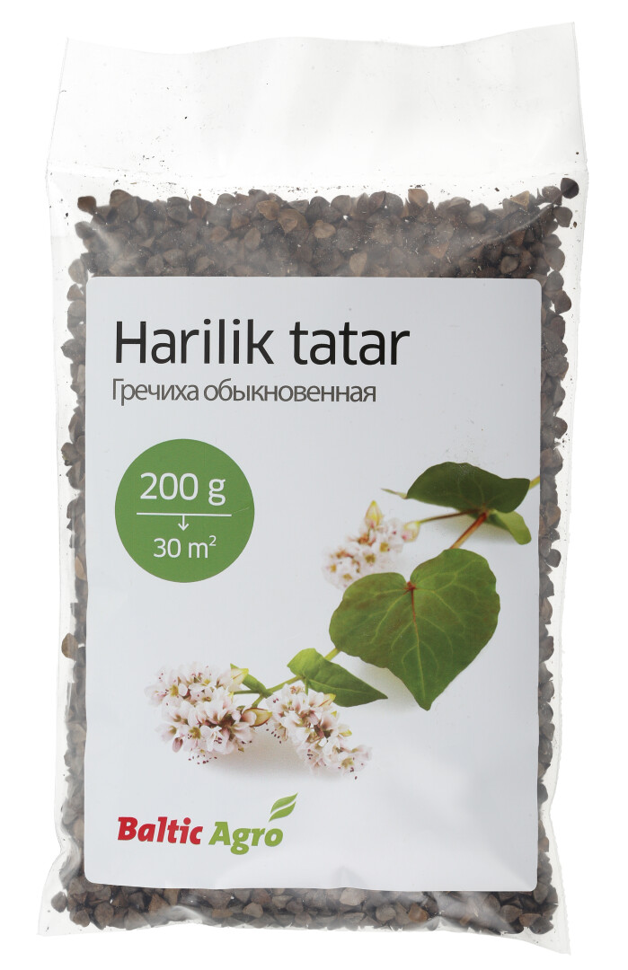 Harilik tatar Aiva
