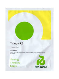 kurk Trilogy H 100s