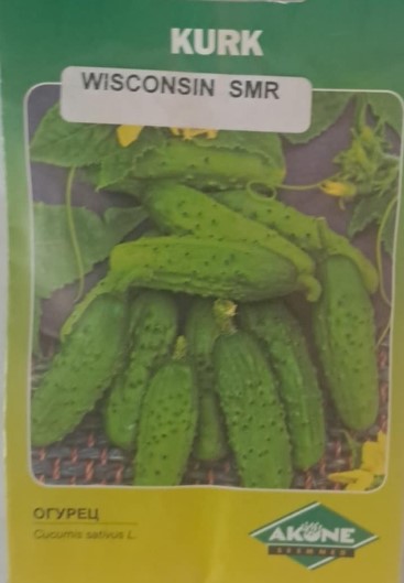 Kurk Wisconsin SMR