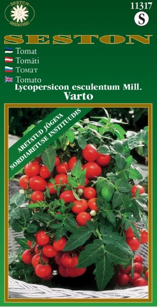 tomat varto