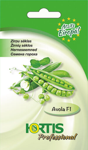 Hernes Avola
