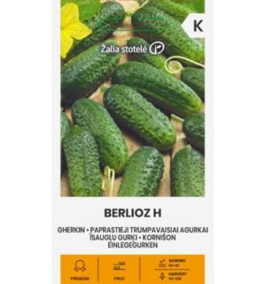 Kurk Berlioz F1