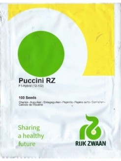 Kurk Puccini RZ