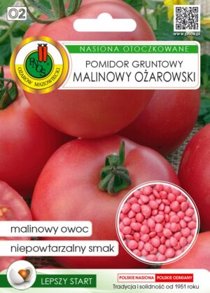 Tomat Malinowy Oźarowski 100s.