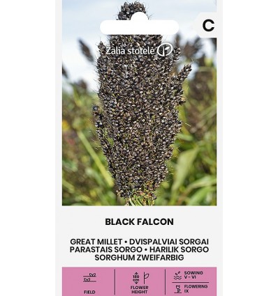 Harilik sorgo Black Falcon