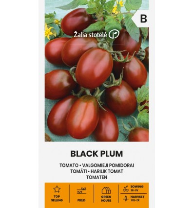 Harilik tomat Black Plum