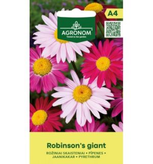 Jaanikakar Robinson´s Giant