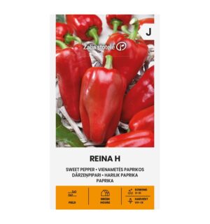 Paprika Reina F1