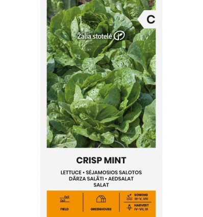 Rooma salat Crisp Mint