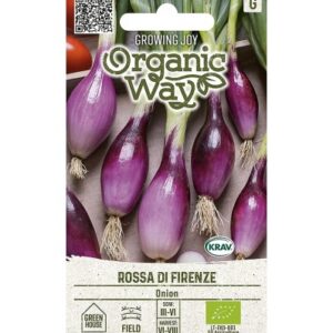 Sibul Rossa Di Firenze mahe