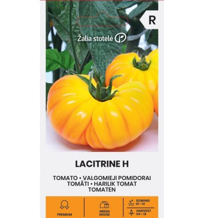 Tomat Lacitrine F1