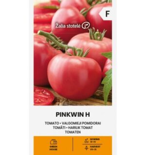 Tomat Pinkwin H