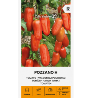 Tomat Pozzano H