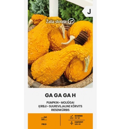 Kõrvits Ga Ga Ga F1