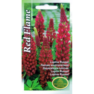 Lupiin Red Flame