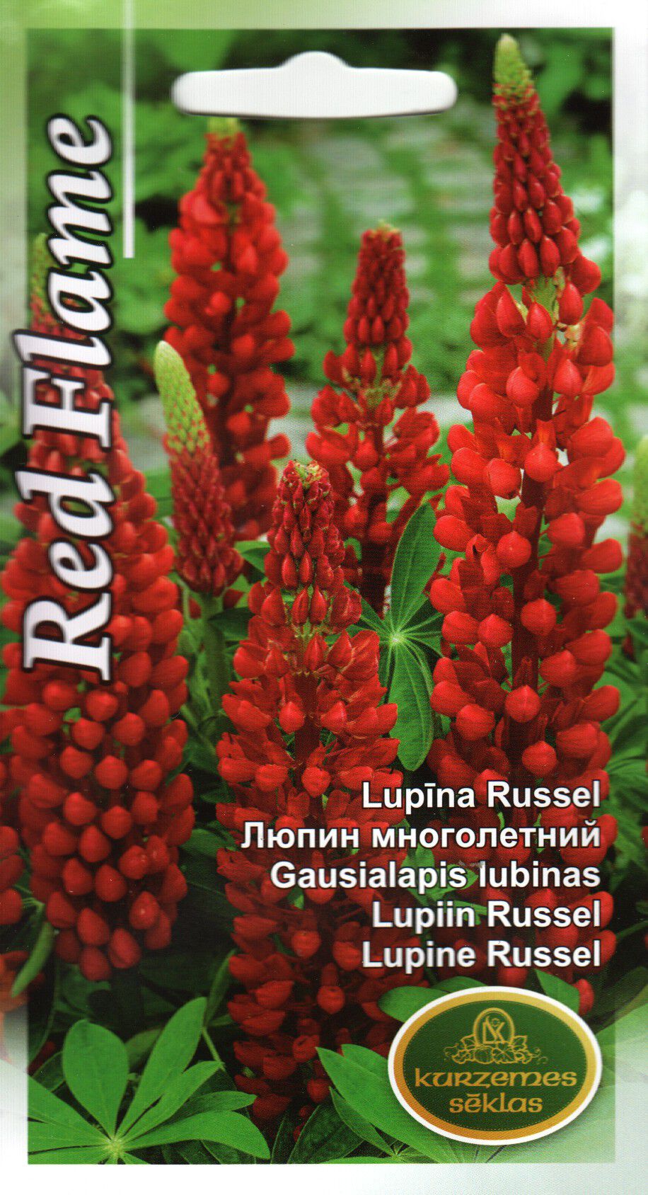 Lupiin Red Flame