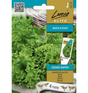 Salat Grand Rapids lindil