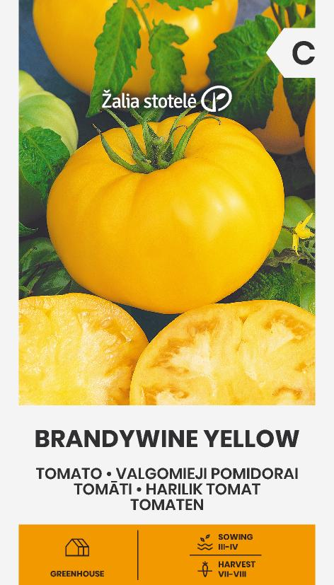 Tomat Brandywine yellow