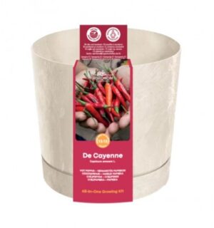 Kasvatuskomplekt pipar De Cayenne