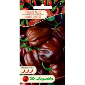 Pipar Habanero chocolate
