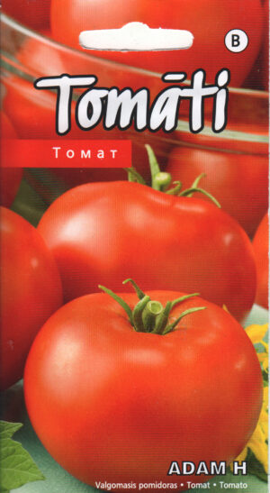 Tomat Adam