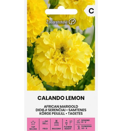 Kõrge peiulill Calando Lemon