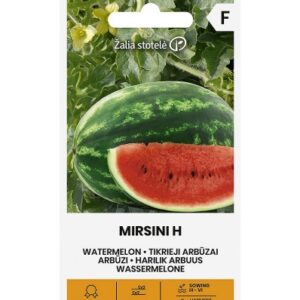 Arbuus Mirsini H