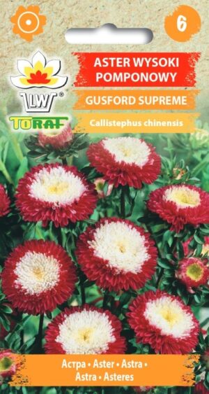 Aster Gusford Supreme