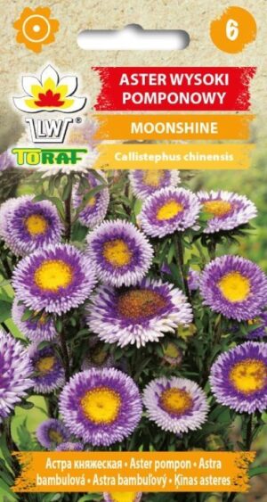 Aster Moonshine mix